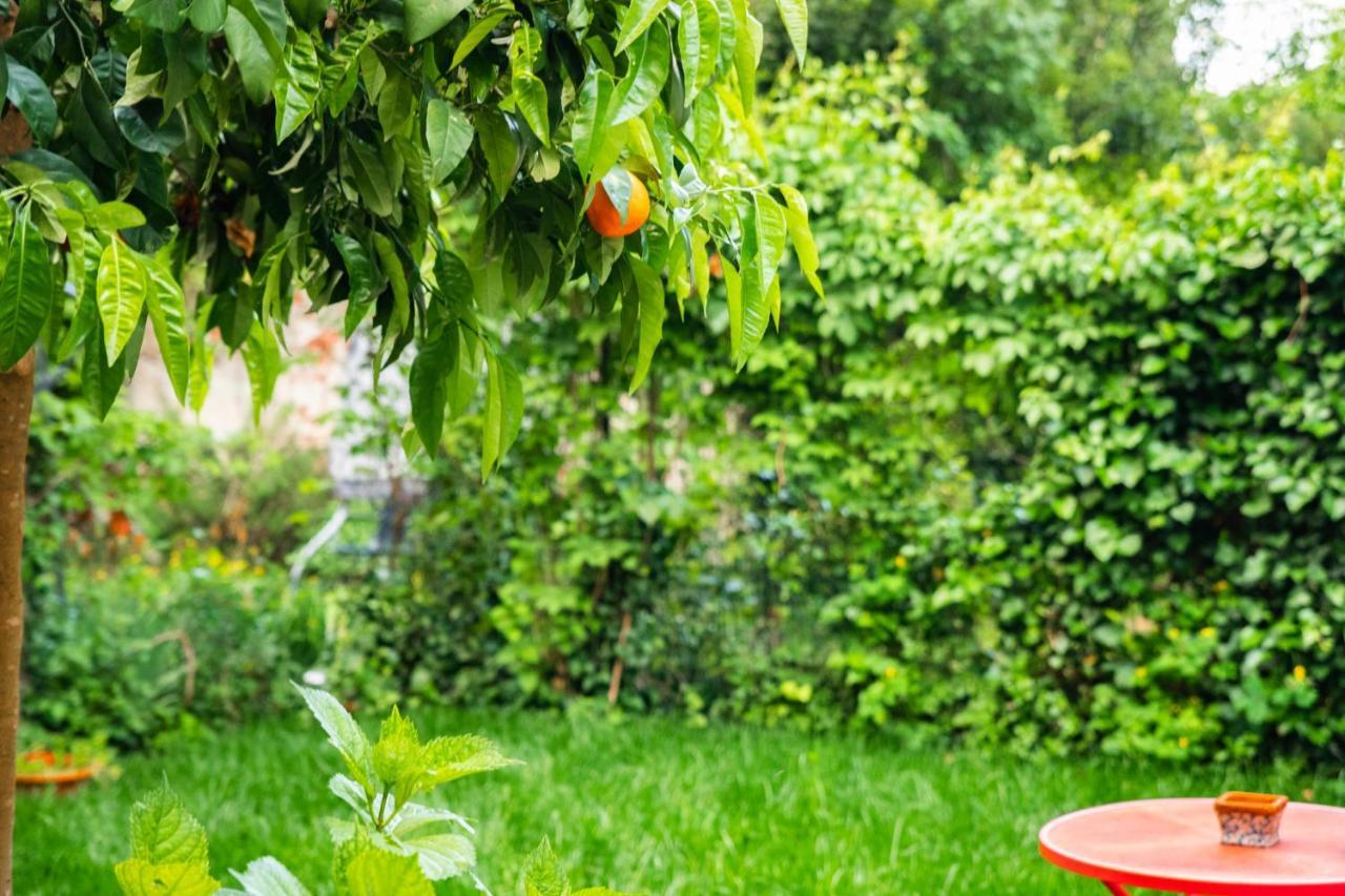 Ferienwohnung MaryLou GardenHouse Pisa Exterior foto