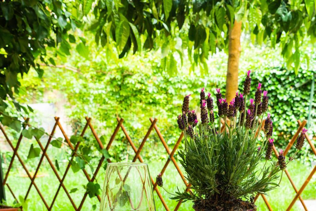 Ferienwohnung MaryLou GardenHouse Pisa Exterior foto